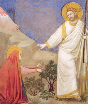 “Noli me tangere”